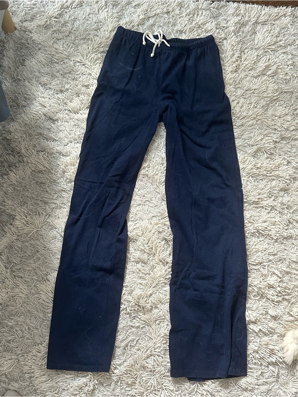 Wild Fable pants